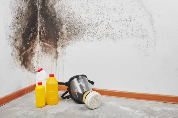 Best Crawl Space Mold Removal  in Sherrelwood, CO