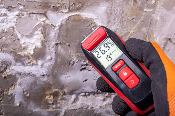 Best Commercial Mold Removal  in Sherrelwood, CO