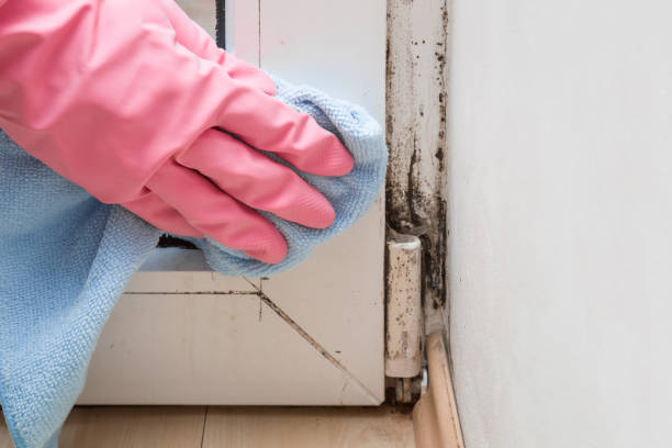 Best Mold Testing  in Sherrelwood, CO